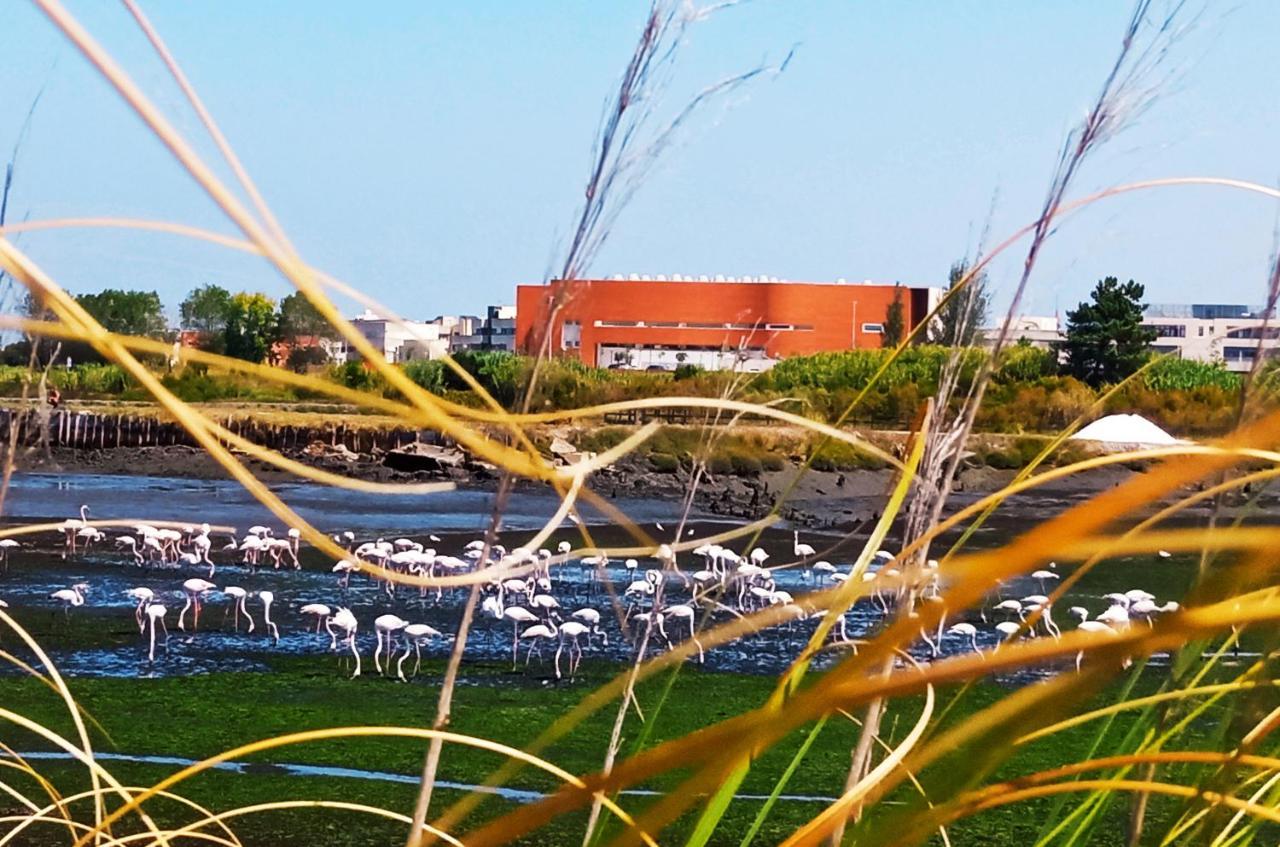 Apartamento Aveiro, Ria E Arte Exterior foto